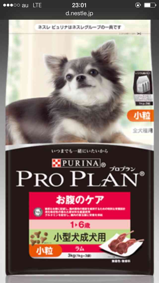 ペットのご飯はどんな物を与えていますか