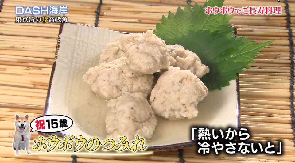 ペットのご飯はどんな物を与えていますか