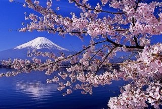 日本人がもっと頑張らないといけないこと!!