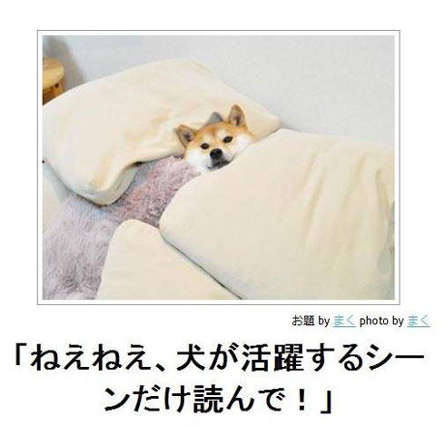 ペットと一緒に寝てる人