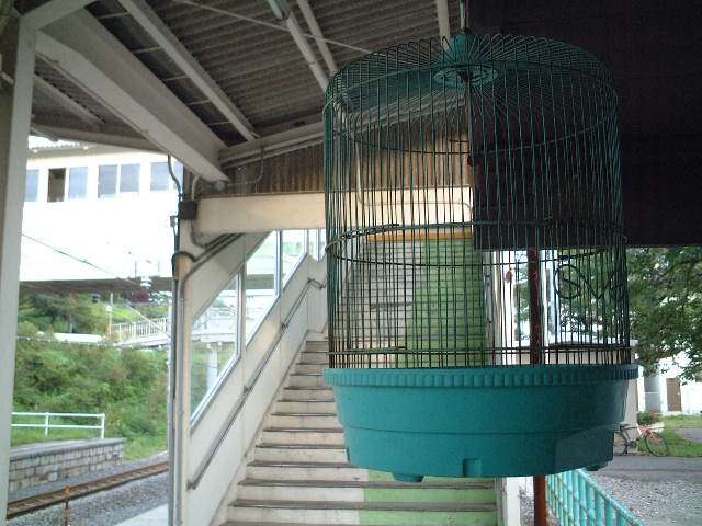 好きな駅はどこですか？