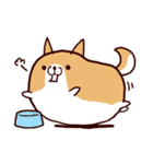 バイキングあるある