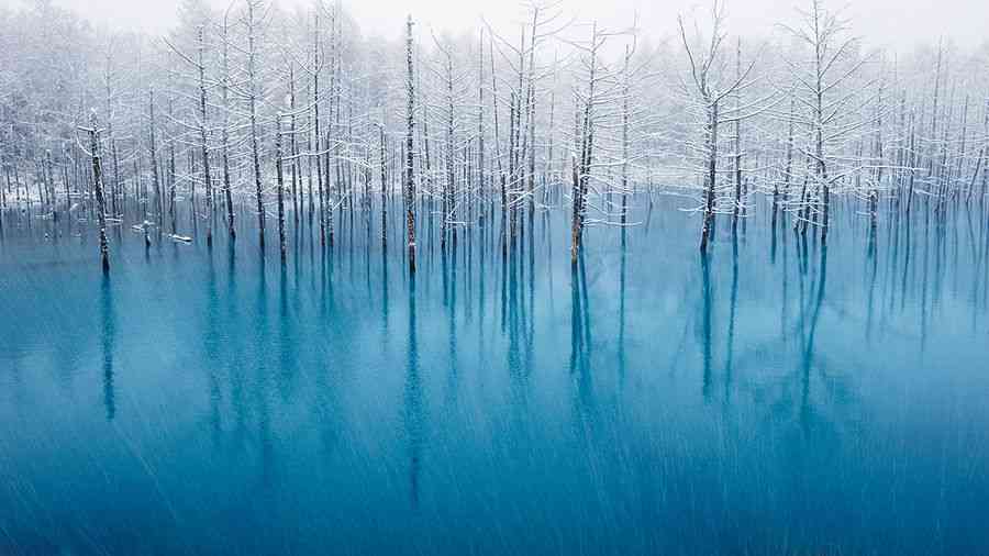 北海道のイメージ