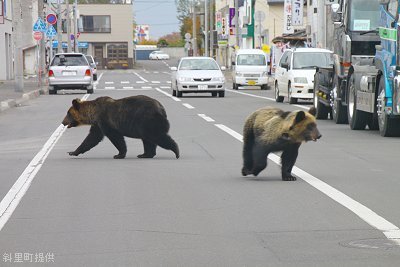北海道のイメージ