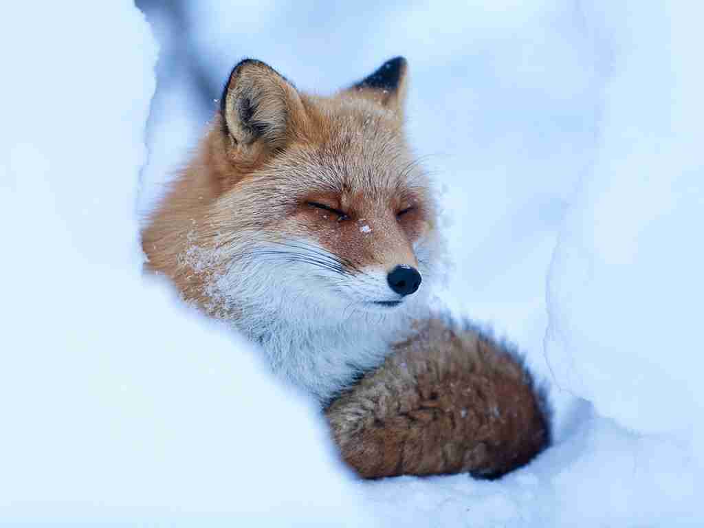 北海道のイメージ