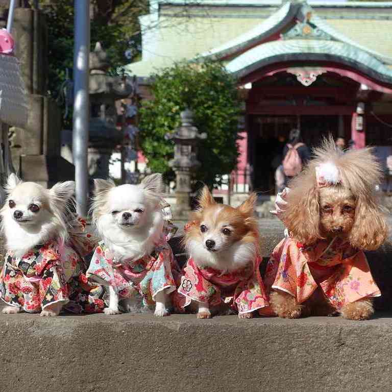 まったり居酒屋開店〜13店舗目