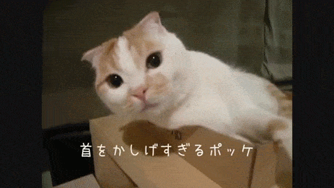 まったり居酒屋開店〜13店舗目