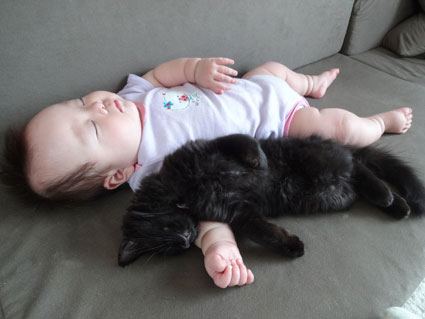 わんわん泣く赤ちゃんをあやす…やさしい猫が可愛い！