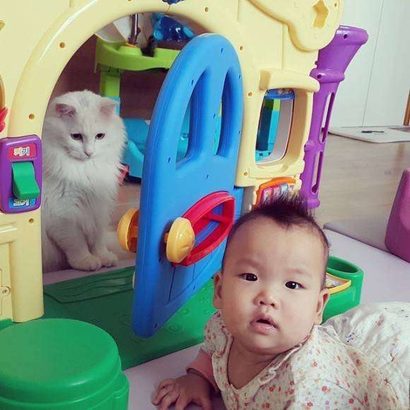 わんわん泣く赤ちゃんをあやす…やさしい猫が可愛い！