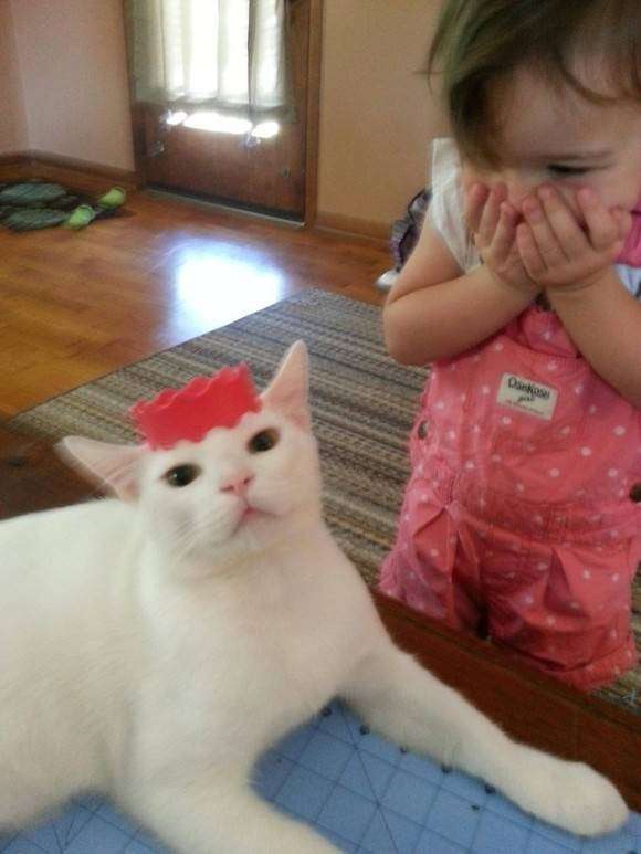 わんわん泣く赤ちゃんをあやす…やさしい猫が可愛い！