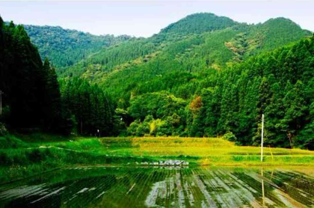 マイナスを気にせずに思ったことを書くトピ