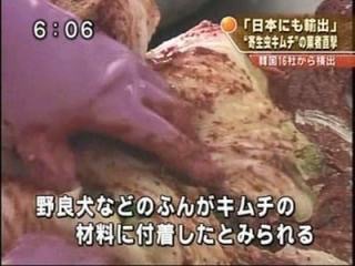益若つばさ、韓国に衝撃のトイレがあったことを報告
