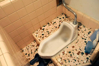 益若つばさ、韓国に衝撃のトイレがあったことを報告