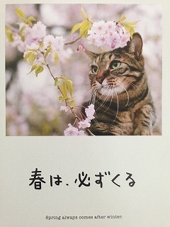 あなたの好きな名言は?