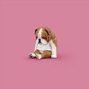 仰向けに寝る犬は怠け者？ 寝相でわかる「愛犬の性格」