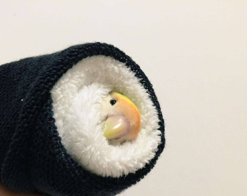 剛毛でも可愛い髪型にしたい！
