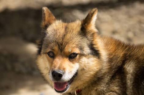 中部地方のイメージ