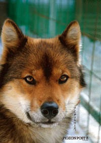 中部地方のイメージ