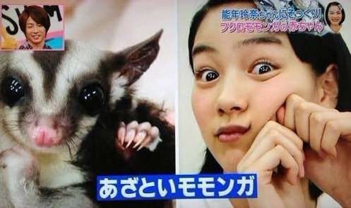 AKB48渡辺麻友、前髪ばっさりイメチェン姿を公開　小嶋陽菜らメンバーも絶賛「かわいいわ」