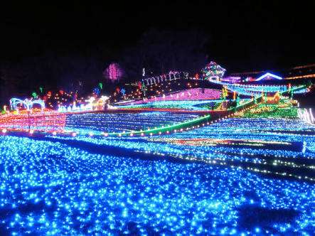 【日帰り】近隣県のおでかけスポットは？
