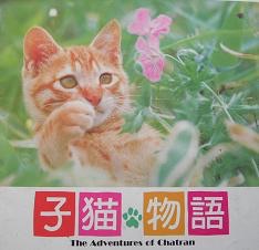 アラフォー以上が知っていることあるある