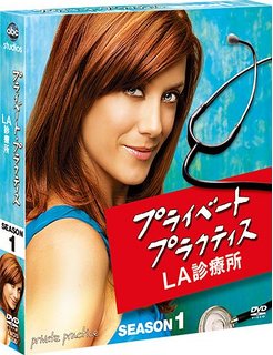 マイナーだけどハマった海外ドラマ