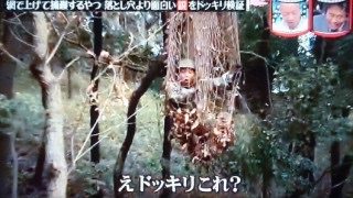 もし、空からEXILEメンバーが降ってきたらどうしますか？