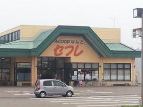 モテ女misono、結婚前提のお付き合い逃し後悔