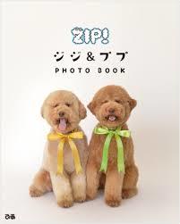 大型犬が好きな方、語りましょうー!