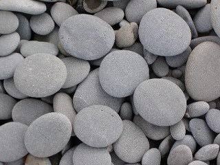 おのののか、好感度の急落をダメ出しされて号泣