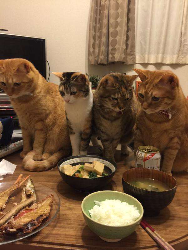 好きな画像に自由にセリフをつけるトピ