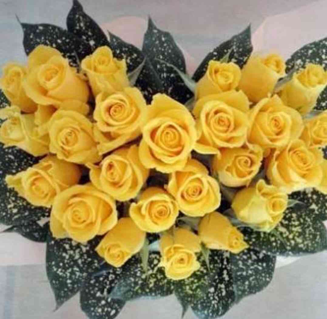 薔薇の画像を持ち寄りましょう