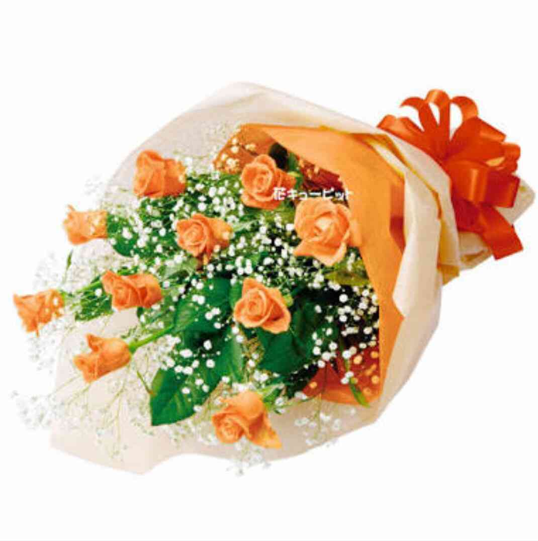 薔薇の画像を持ち寄りましょう