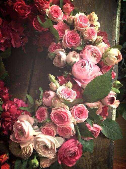 薔薇の画像を持ち寄りましょう