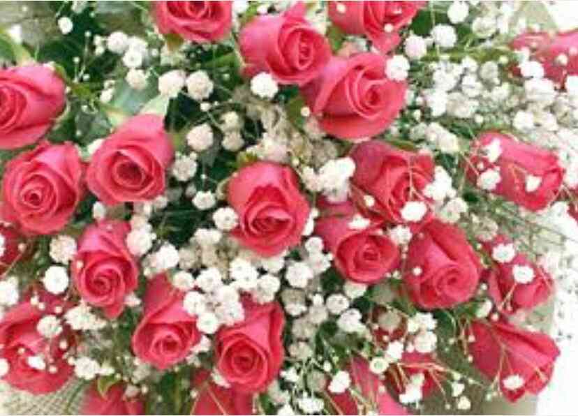 薔薇の画像を持ち寄りましょう