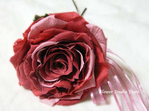 薔薇の画像を持ち寄りましょう