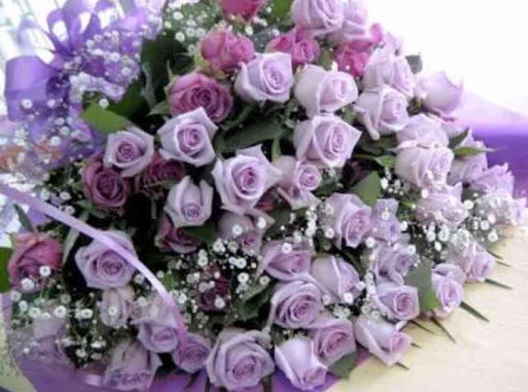 薔薇の画像を持ち寄りましょう