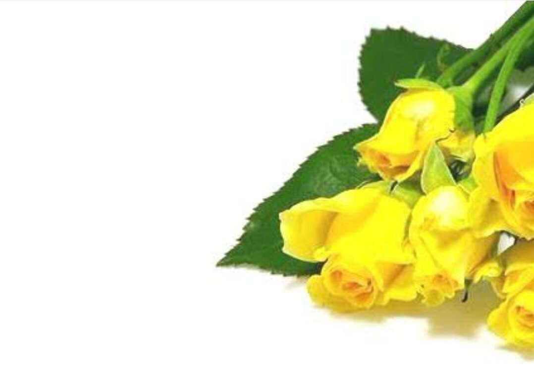 薔薇の画像を持ち寄りましょう