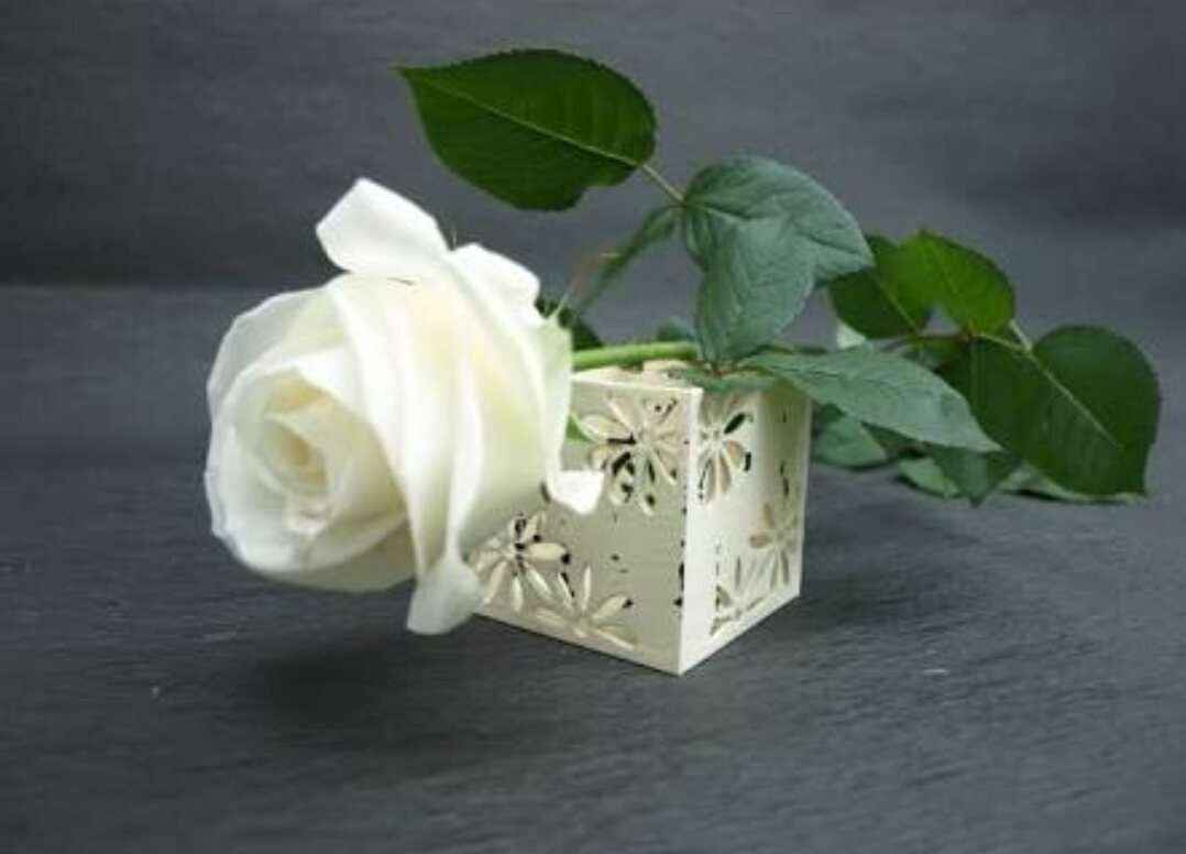 薔薇の画像を持ち寄りましょう