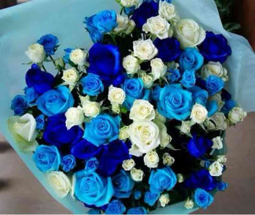 薔薇の画像を持ち寄りましょう