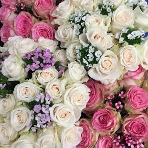 薔薇の画像を持ち寄りましょう