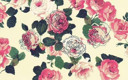 薔薇の画像を持ち寄りましょう
