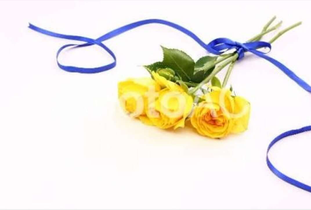 薔薇の画像を持ち寄りましょう