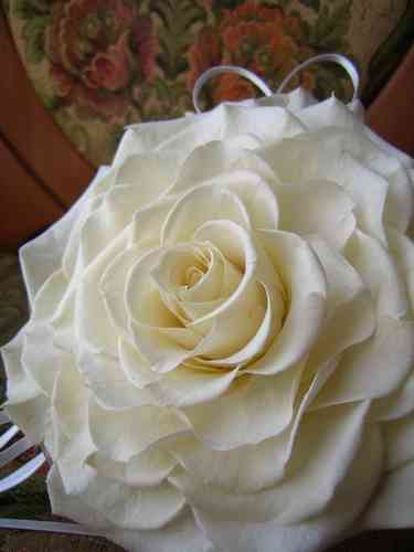 薔薇の画像を持ち寄りましょう