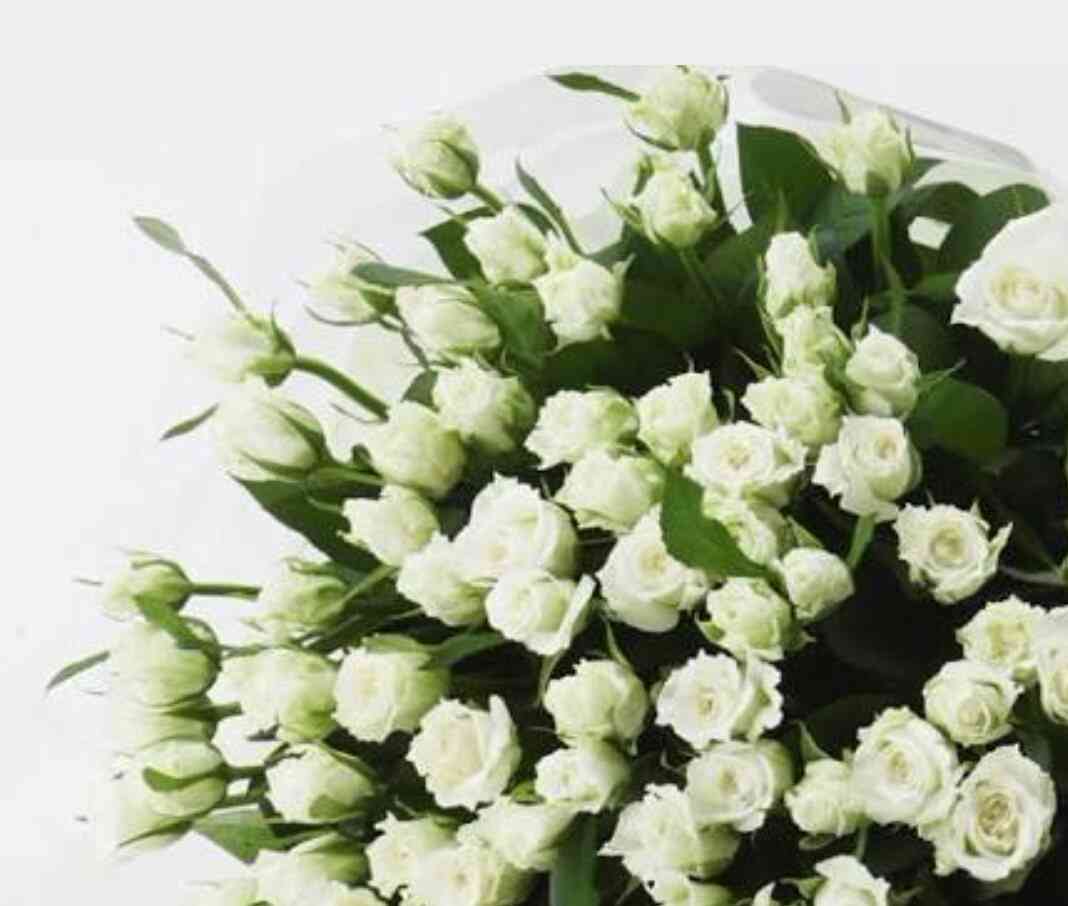 薔薇の画像を持ち寄りましょう