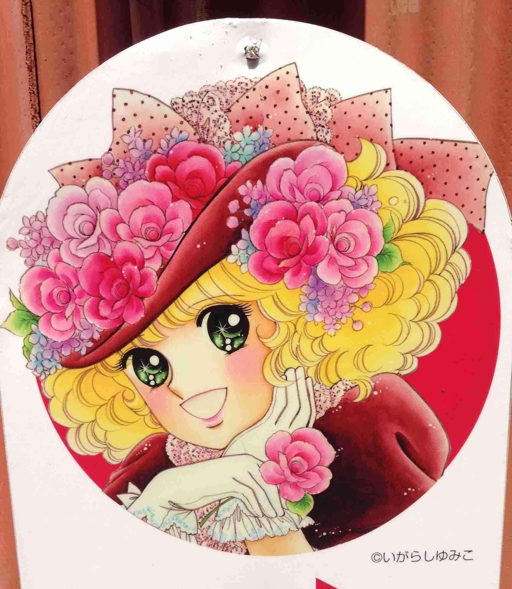 薔薇の画像を持ち寄りましょう