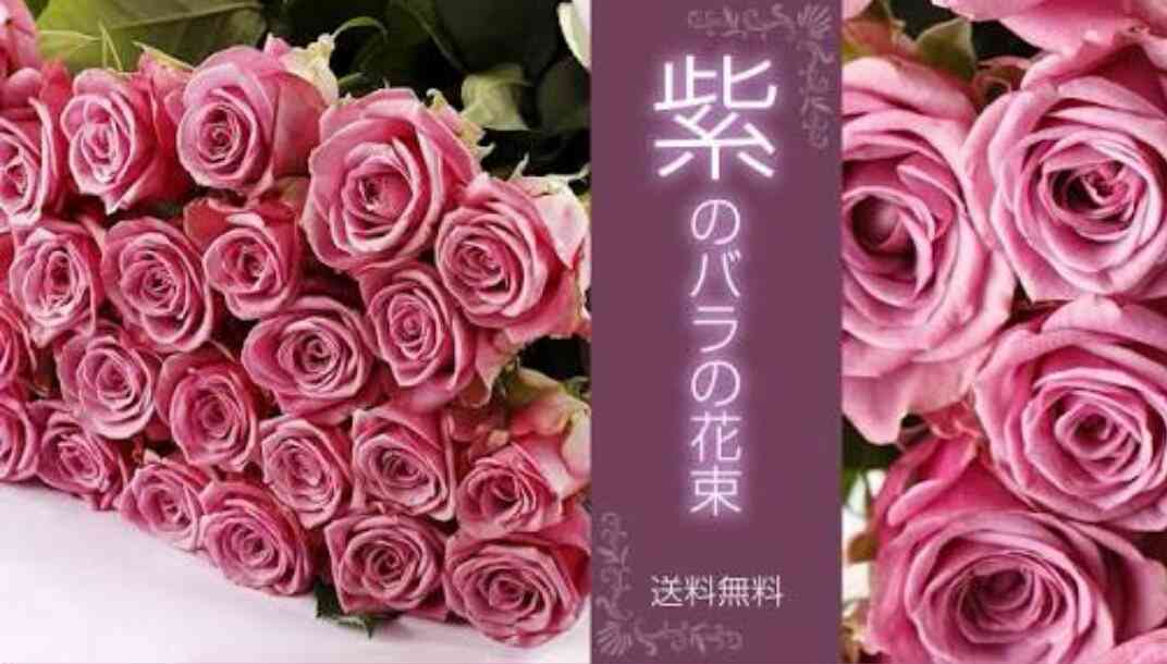薔薇の画像を持ち寄りましょう