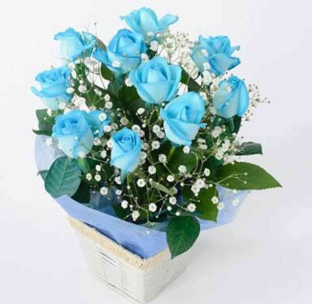 薔薇の画像を持ち寄りましょう