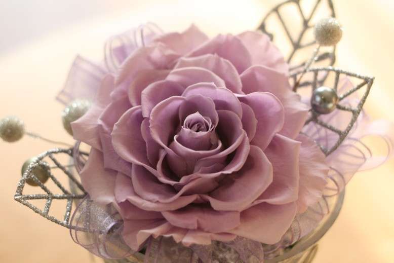 薔薇の画像を持ち寄りましょう