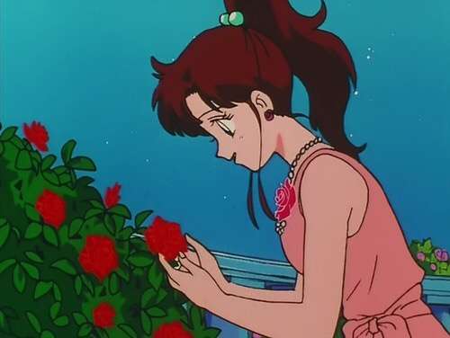 薔薇の画像を持ち寄りましょう